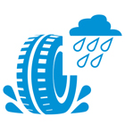 Reifenlabel Nasshaftung